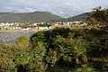 DSC_0085.JPG