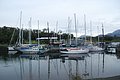 DSC_0305.JPG