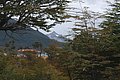 DSC_0641.JPG