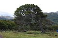 DSC_0697.JPG
