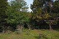 DSC_0757.JPG