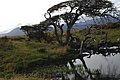 DSC_0782.JPG