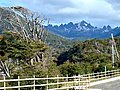 IMG_6945.JPG