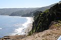 DSC_1510.JPG