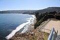 DSC_1516.JPG