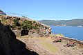 DSC_1550.JPG