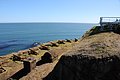 DSC_1557.JPG