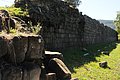 DSC_1586.JPG