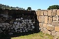 DSC_1625.JPG