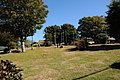 DSC_1638.JPG