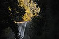 DSC_9982.JPG