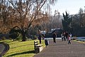 DSC_0190.JPG