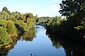 DSC_1655.JPG