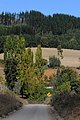 DSC_2249.JPG