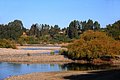 DSC_2262.JPG