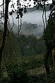 IMG_0011.JPG