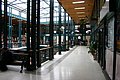 IMG_3336.JPG