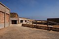 DSC_0224.JPG