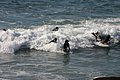IMG_11510.JPG