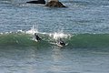 IMG_11516.JPG