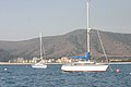 IMG_1080.JPG