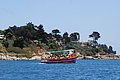 DSC_0073.JPG