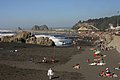 IMG_3300.JPG