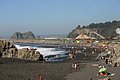 IMG_3302.JPG
