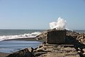 IMG_3309.JPG