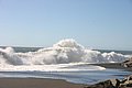IMG_3310.JPG