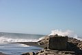 IMG_3312.JPG