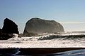 IMG_3313.jpg