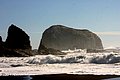IMG_3316.jpg