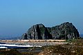 IMG_3320.jpg