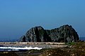 IMG_3321.jpg