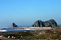 IMG_3322.jpg