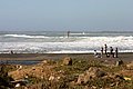 IMG_3323.jpg