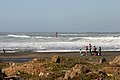 IMG_3324.jpg