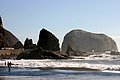 IMG_3325.jpg