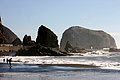 IMG_3326.jpg