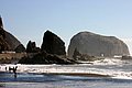 IMG_3327.jpg
