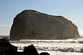 IMG_3330.jpg
