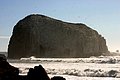 IMG_3331.jpg
