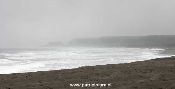 IMG_3161-2.jpg