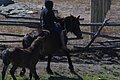 DSC_0075.JPG