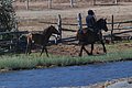 DSC_0082.JPG