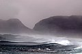 DSC_0420.JPG