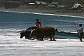 IMG_2585.JPG