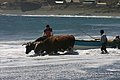IMG_2586.JPG