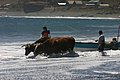 IMG_2587.JPG